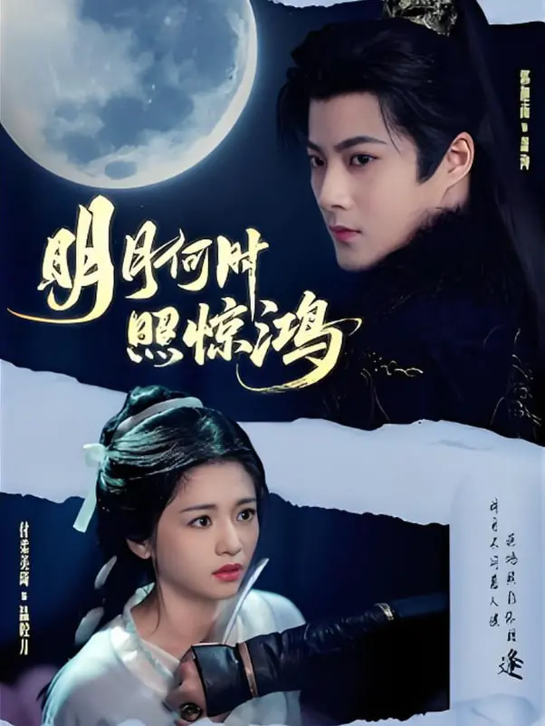 《明月何时照惊鸿》：一场跨越时空的虐恋，揭秘宸王与将军的爱恨纠葛，命运的洪流能否冲破世俗的藩篱？