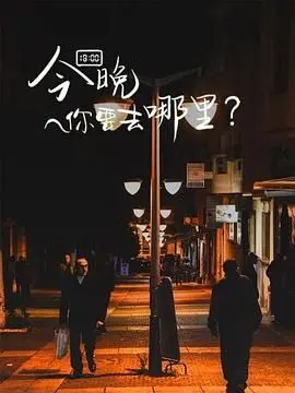《今晚你要去哪里》：一场关于迷失与寻找的都市奇遇，在夜色中探索人性的幽暗与温情